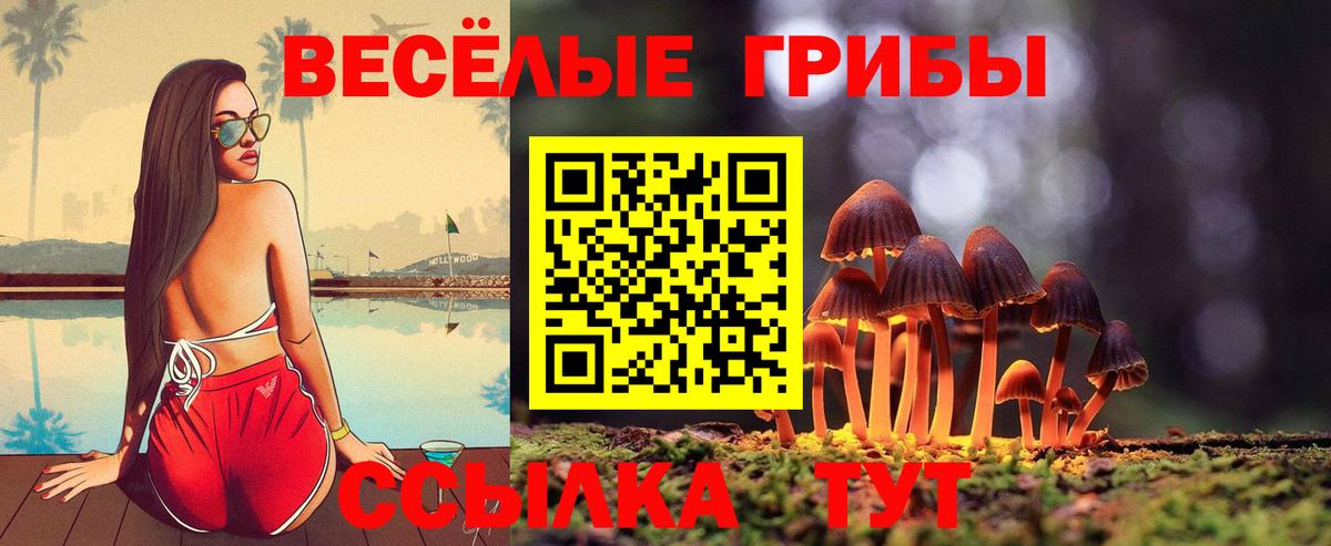 Галлюциногенные грибы MAGIC MUSHROOMS  Псилоцибиновые грибы мухоморы  Златоуст  Вход с VPN 